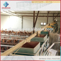 Structure en acier ignifuge de la ferme de volaille en provenance de Chine Showhoo